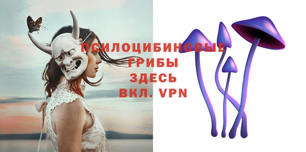 дживик Снежинск
