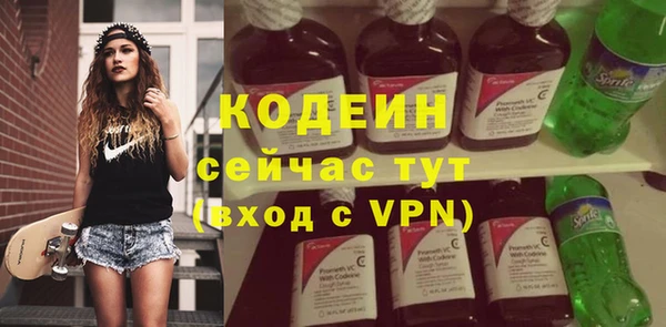 шишки Нязепетровск