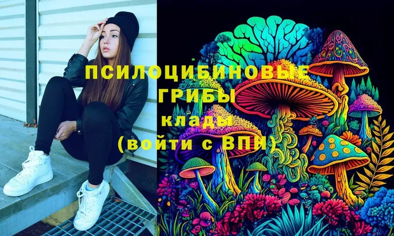 Псилоцибиновые грибы Psilocybine cubensis  Алапаевск 